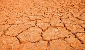 Xiidra, dry desert
